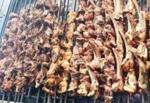 Namak Mandi: Where Peshawar’s culinary heritage simmering in every bite in pre-winter season