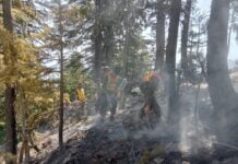 Forest fires: A growing threat to KP’s green gold
