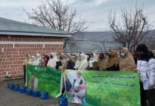 A childhood stolen: One family’s polio pain, a warning to others