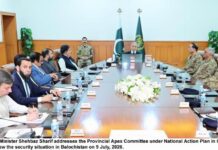 Entire nation stands united with victims of Balochistan terror attacks as experts laud PAC’s decisions