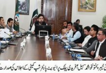 Public-Private Partnership (PPP) Committee approved the construction of the Dir Motorway under the PPP model