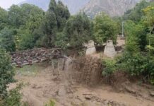 Monsoon rains kills 12 in KP: PDMA