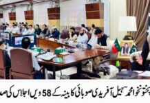 KP Cabinet meeting concern over petroleum price-hike approval of key decisions