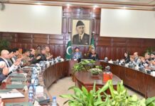 Mohsin Naqvi stresses consultative development strategy for 12 restive KP districts